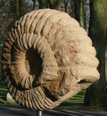 großer Ammonit - kleineren auf der Rückseite - auf Stele - ST A 08